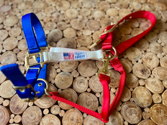 Licol LAKOTA drapeau USA