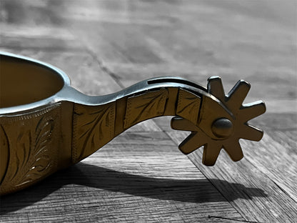 Éperons western reining