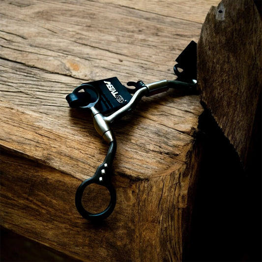 Mors Futurity François Gautier