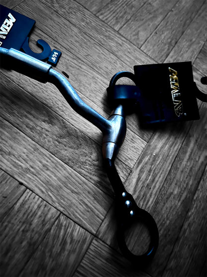 Mors Futurity François Gautier