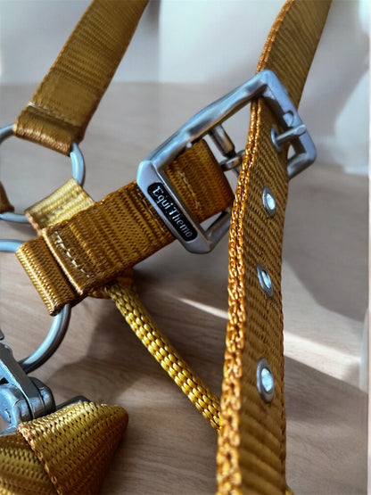 Licols équithème nylon en boucles inoxydables