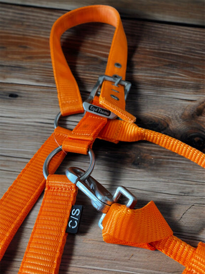 Licols équithème nylon en boucles inoxydables