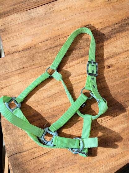 Licols équithème nylon en boucles inoxydables