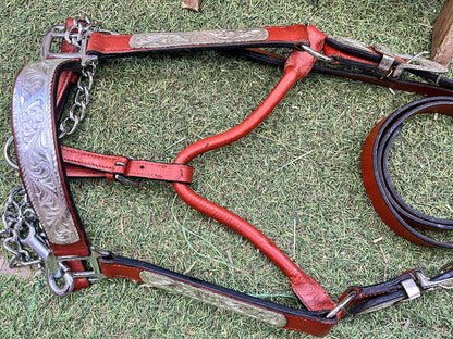 Licol de show western en cuir – ferrures argentées avec chaîne – taille Cob (M)
