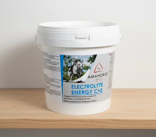 Sels électrolytiques pour chevaux – Réhydratation et performance