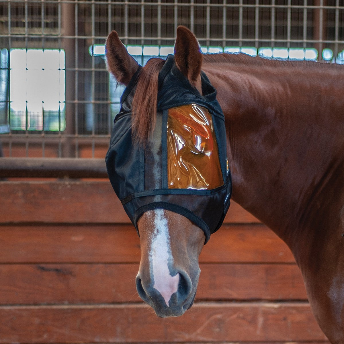 rem_xpertequine-masque-anti-uveite-oeil-droit-cheval