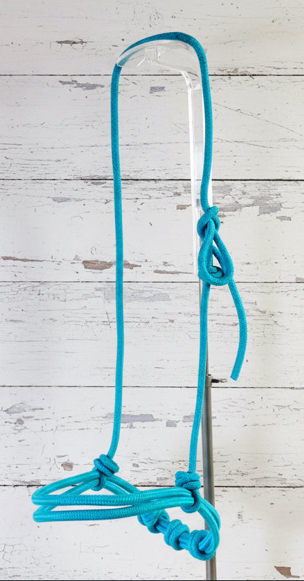Muserolle nylon turquoise pour cheval réglable
