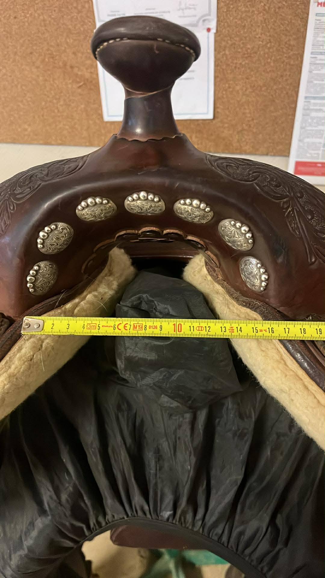 Selle de show Tom Winter FQH