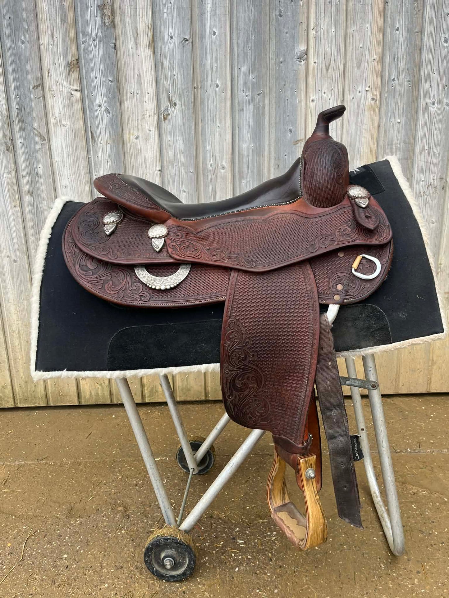 Selle de show Tom Winter FQH