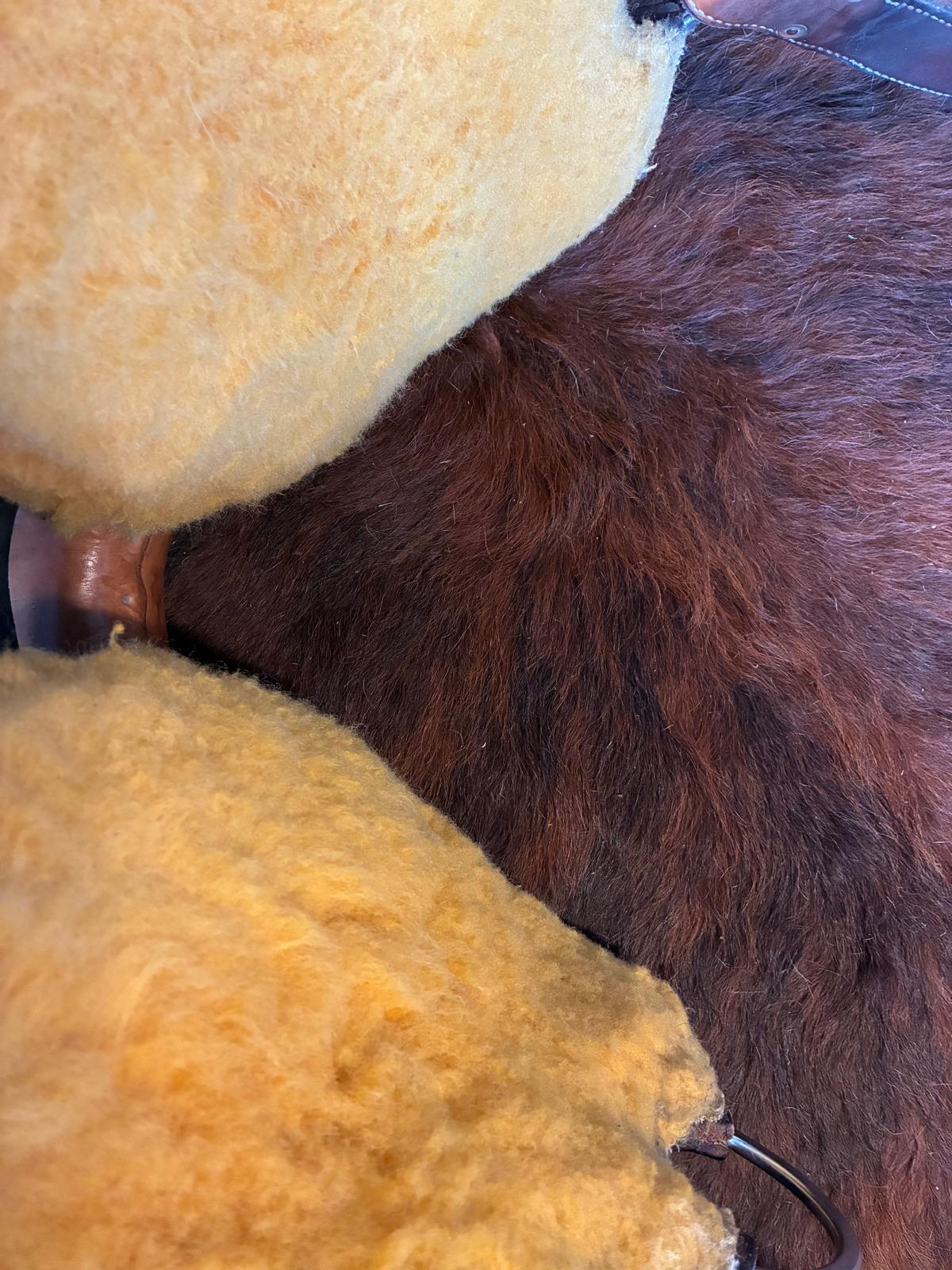 Selle western Billy Cook Show 16” Chestnut huilé – Dépôt client