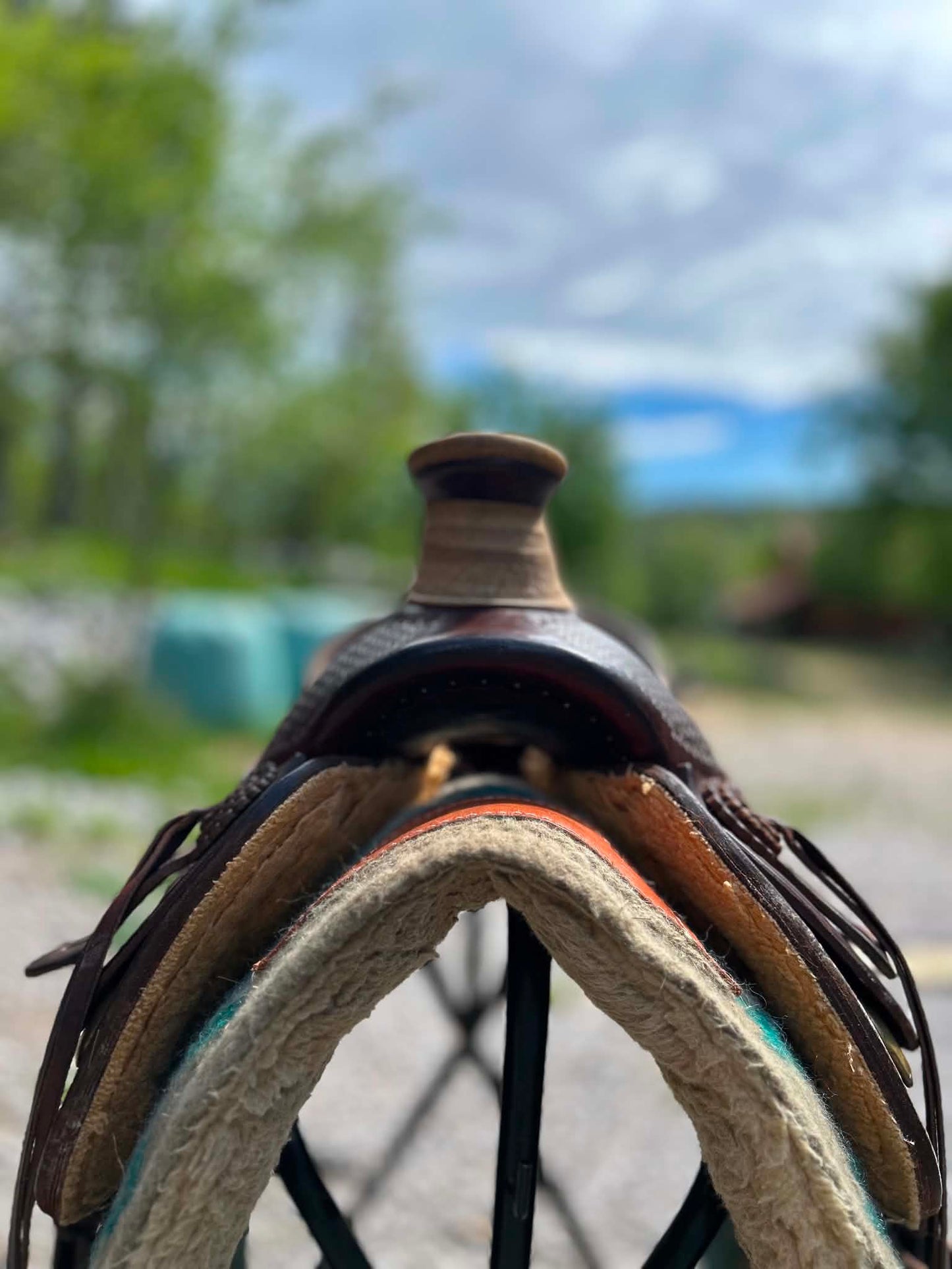 avant de la selle western wade billy cook 
2181