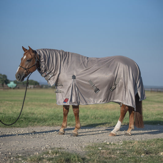 Couverture céramique Classic Equine portée sur cheval
