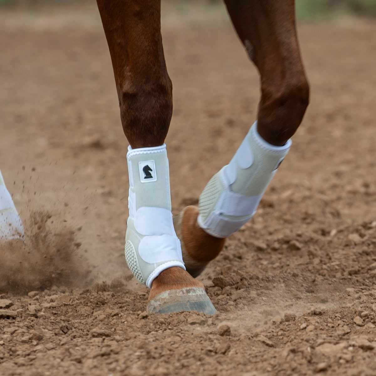 Classic Equine Flexion Boots by Legacy2 – Foreleg Protection 
