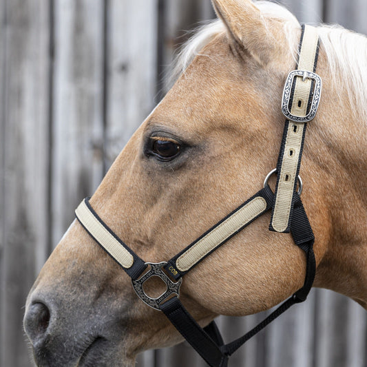 Licol cheval LAMI-CELL Idaho noir 
avec longe, boucles Bernard Fonck et finitions de qualité