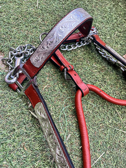 Licol de show western en cuir – ferrures argentées avec chaîne – taille Cob (M)