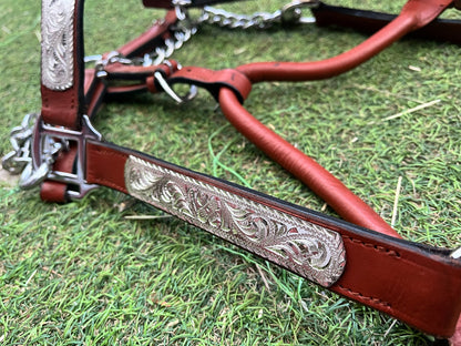 Licol de show western en cuir – ferrures argentées avec chaîne – taille Cob (M)
