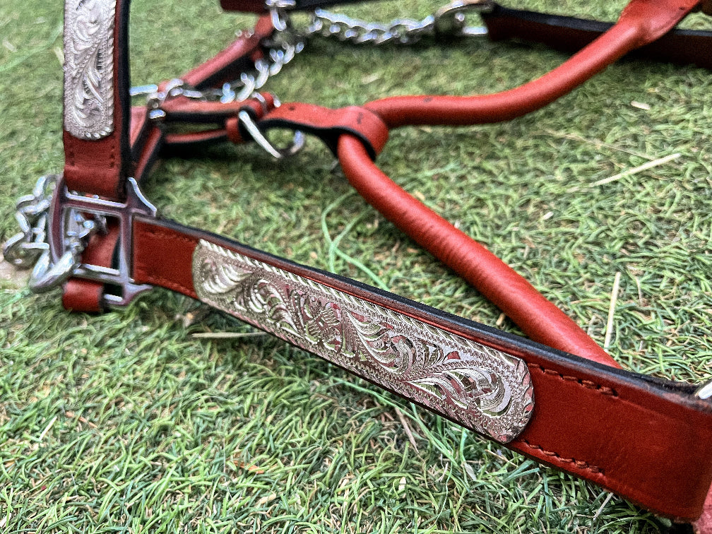 Licol de show western en cuir – ferrures argentées avec chaîne – taille Cob (M)