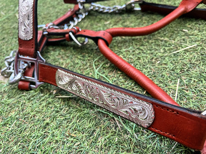 Licol de show western en cuir – ferrures argentées avec chaîne – taille Cob (M)