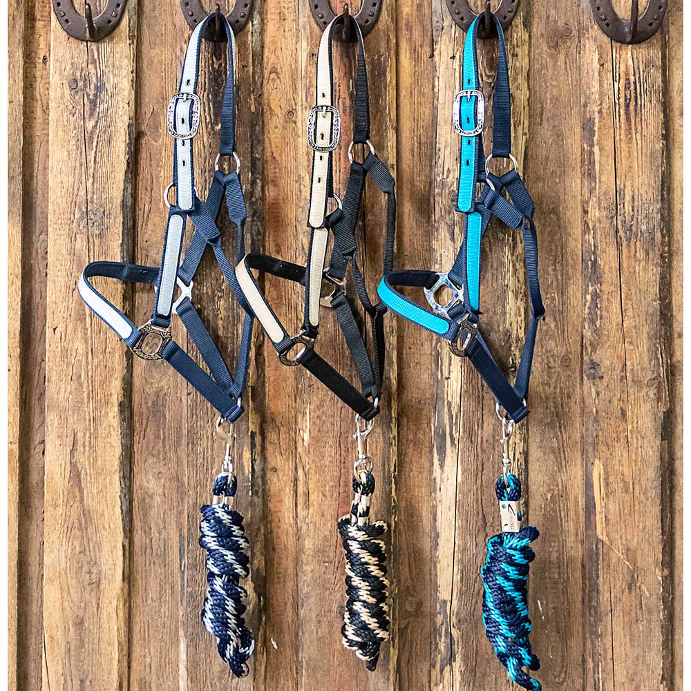 Licol Idaho LAMI-CELL avec longe et boucles Bernard Fonck, solide et élégant pour le cheval