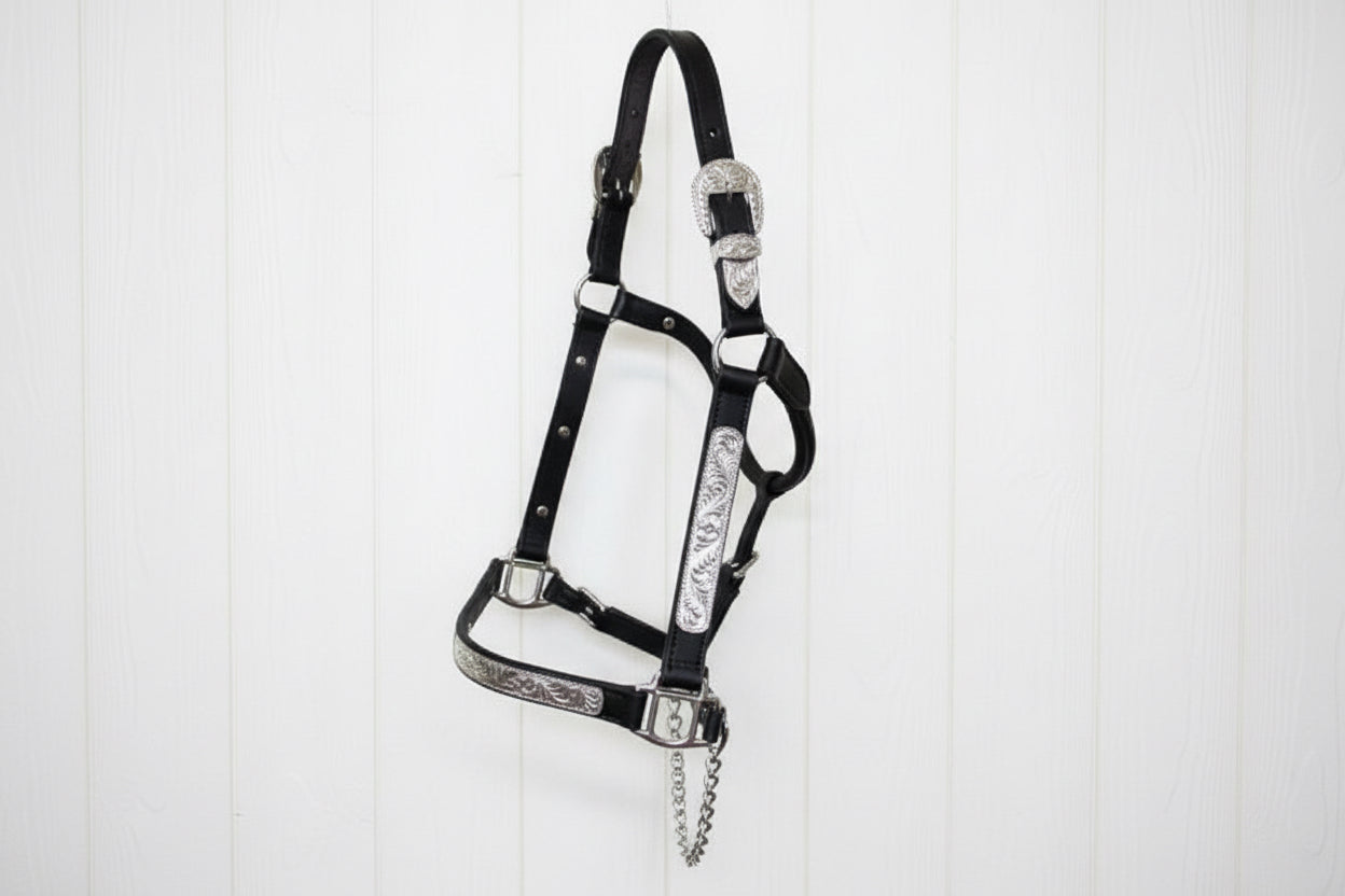 Licol de show en cuir US avec plaques argent gravées et chaîne de show, élégant et durable pour cheval