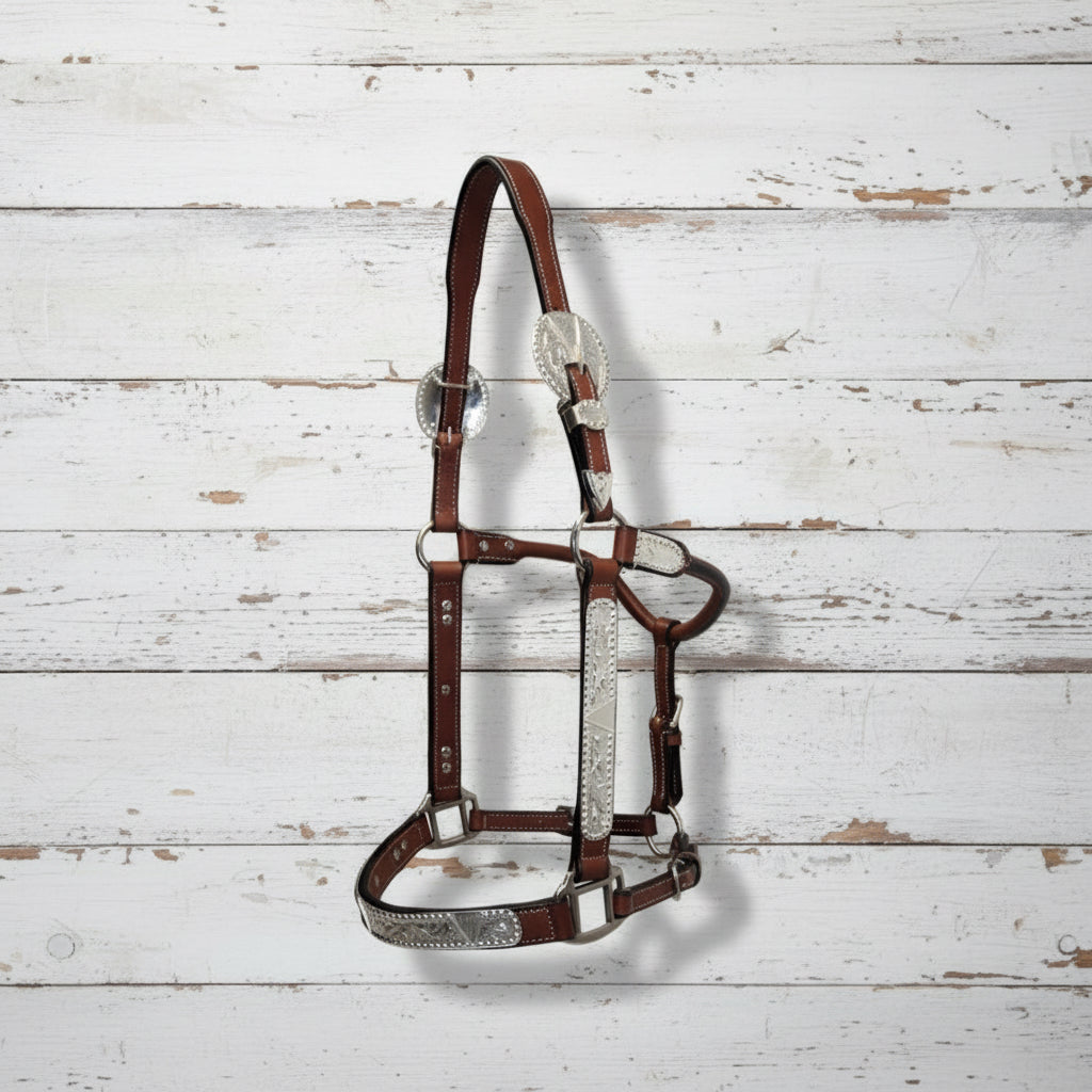 Licol show en cuir Dark Oil avec ferrures argent, taille cob pour cheval, chestnut
