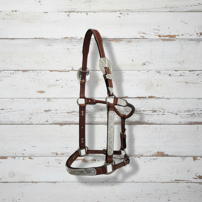 Licol show en cuir Dark Oil avec ferrures argent, taille cob pour cheval, chestnut
