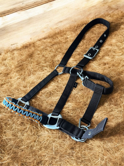 Licols Norton avec muserolles tissées à la main