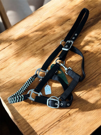 Licols Norton avec muserolles tissées à la main