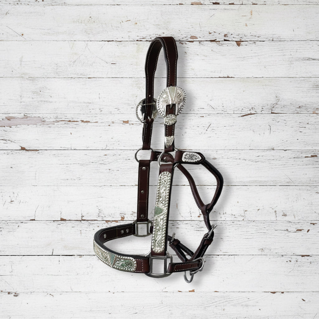 Licol show en cuir Dark Oil avec ferrures argent, taille cob pour cheval
