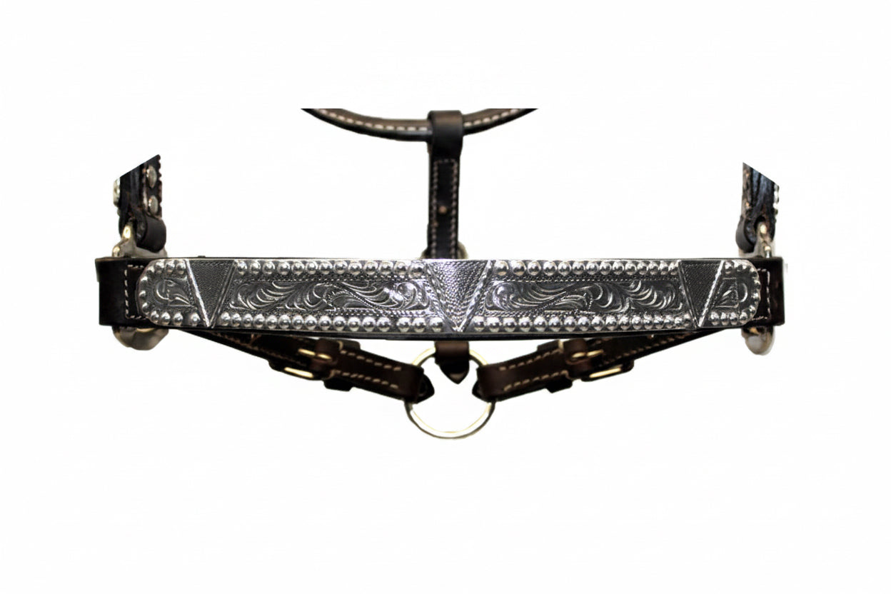 Licol show en cuir Dark Oil avec ferrures argent, taille cob pour cheval, zoom sur une ferrure
