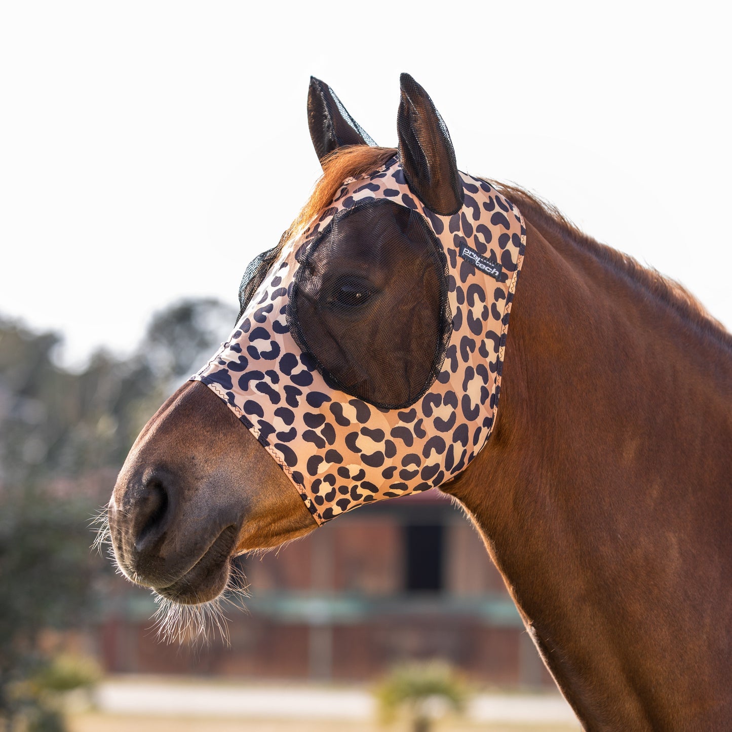 Masque anti-mouches Pro-Tech pour cheval en lycra, motif léopard
