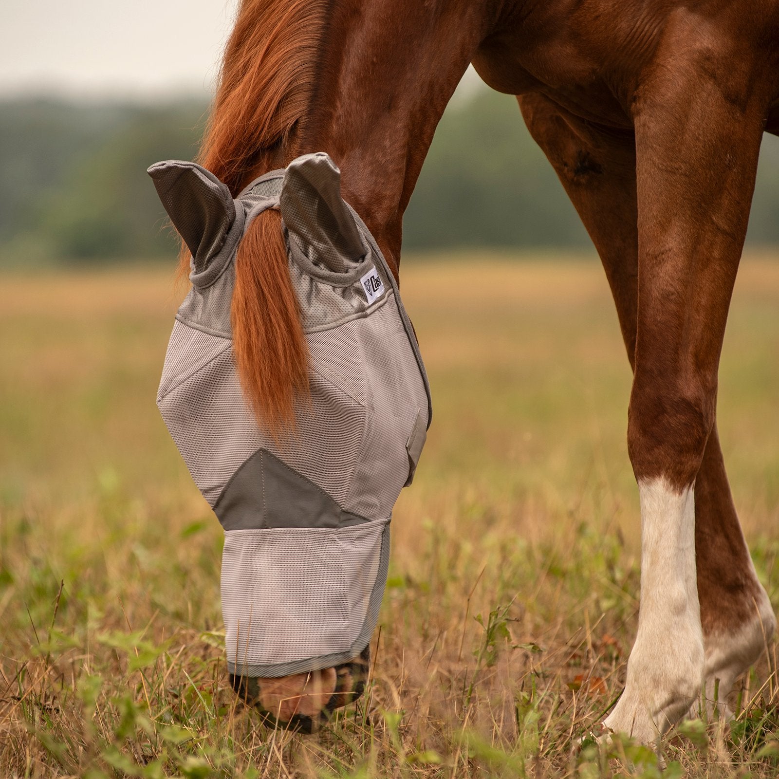 Masque anti-mouches Cashel Crusader avec protection des oreilles et du nez, anti-UV pour cheval-porté par cheval
