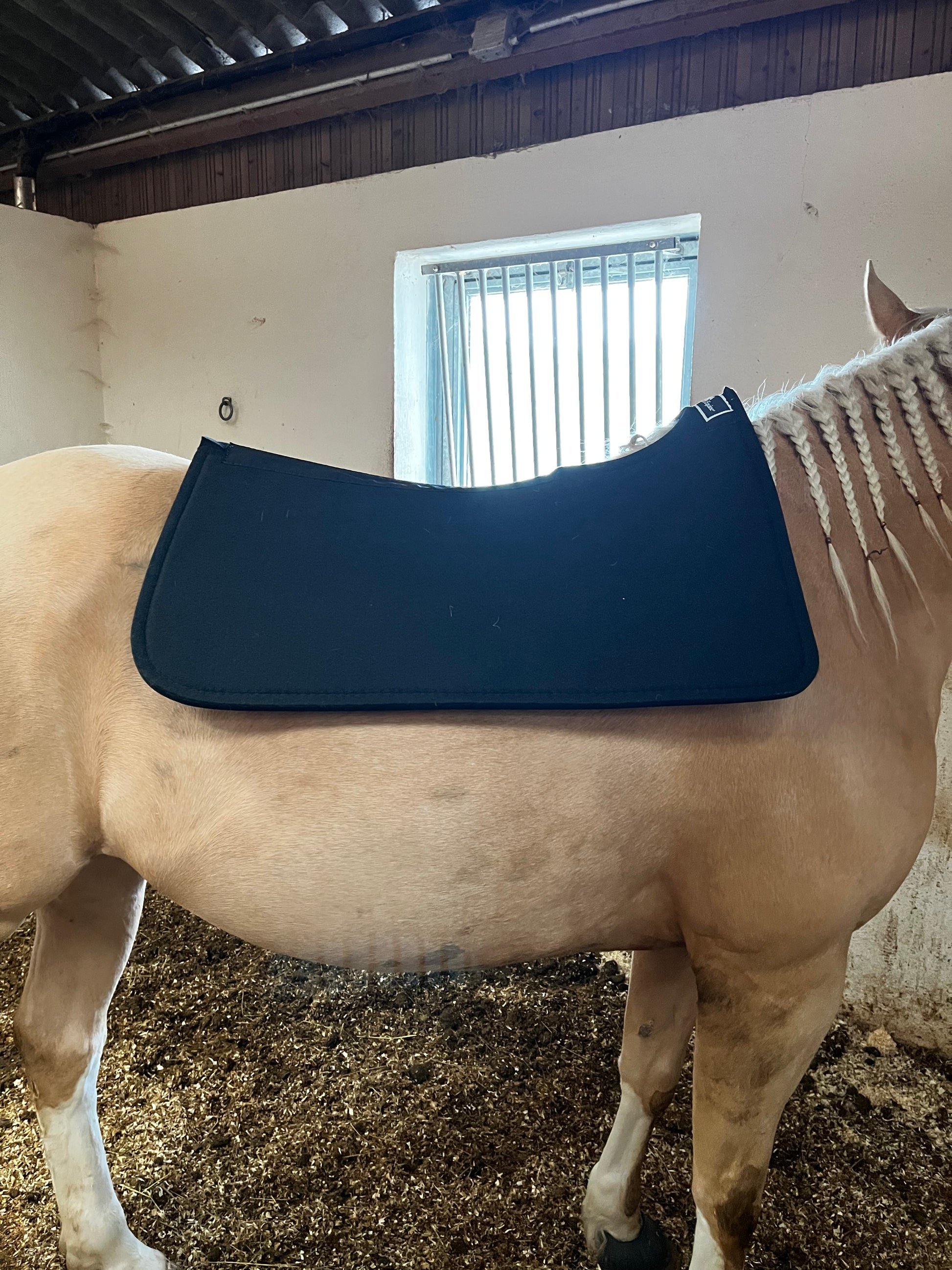 Pad reining Classic Equine ContourPedic, respirant et performant pour la compétition porté