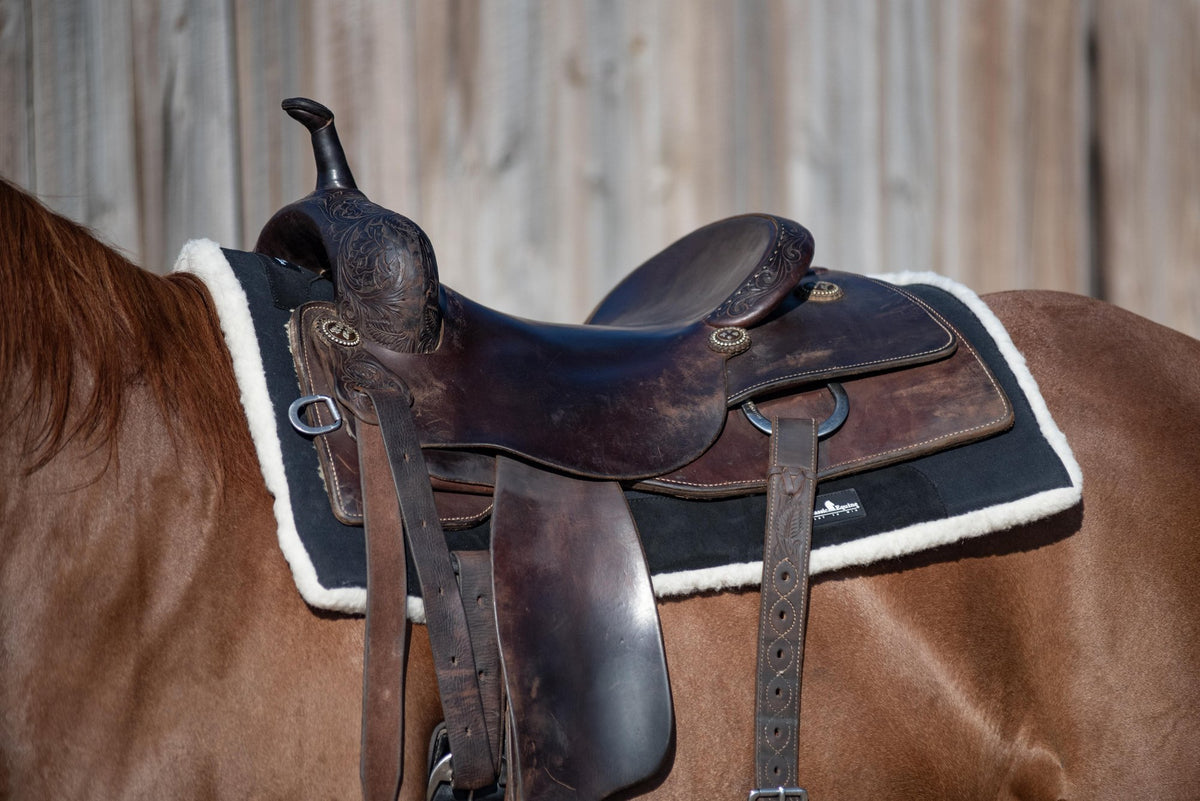 Classic Equine Performance Trainer Western Pad noir 31x32 – tapis western confort équitation, en position sur le dos du cheval