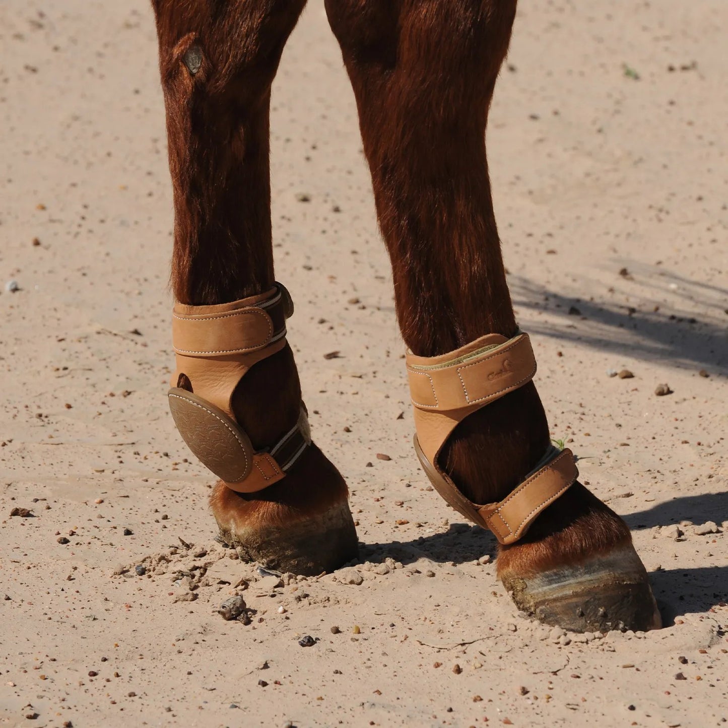 Guêtres Pro Reiner Skid Boots Classic Equine, protection et performance pour le cheval en reining et travail western intensif sur cheval