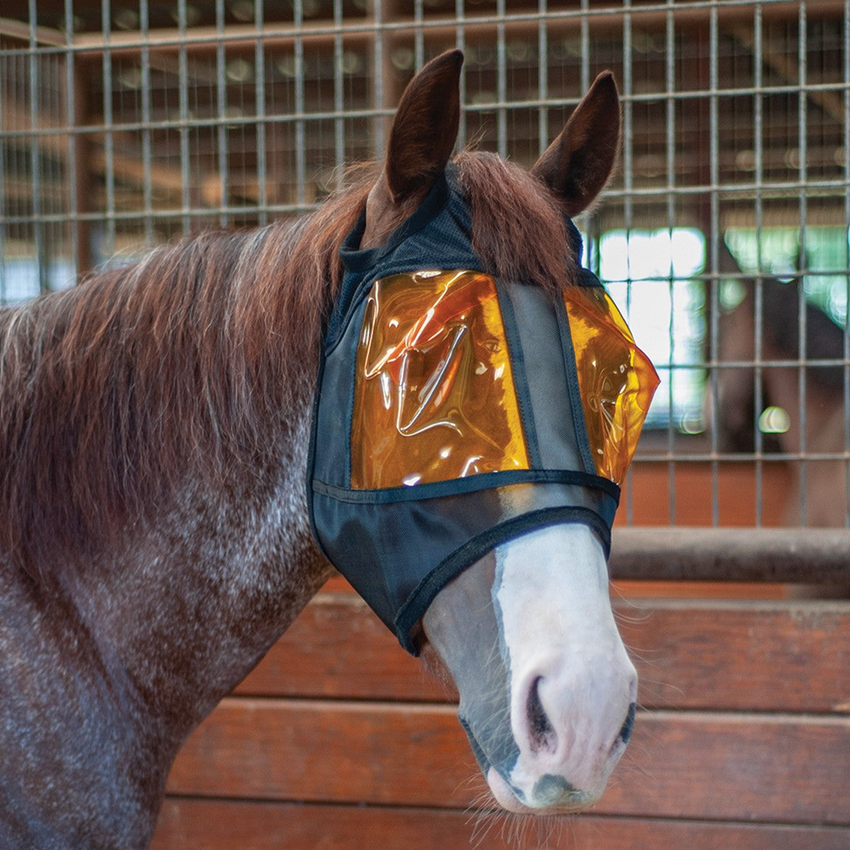 Masque Xpert Equine® REM (Restoration Equine Mask) – Protection UV et lumière bleue pour chevaux