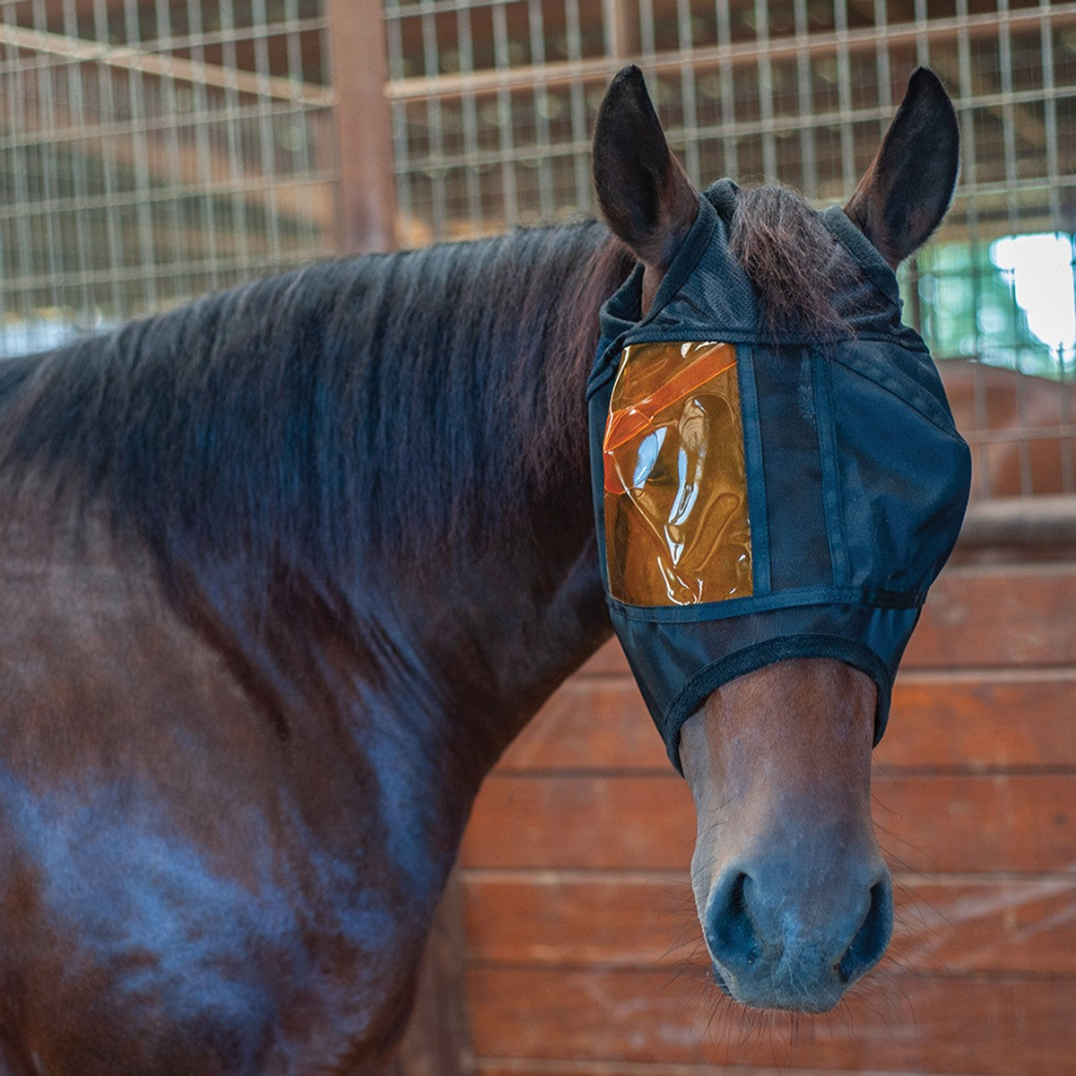 Masque Xpert Equine® REM (Restoration Equine Mask) – Protection UV et lumière bleue pour chevaux