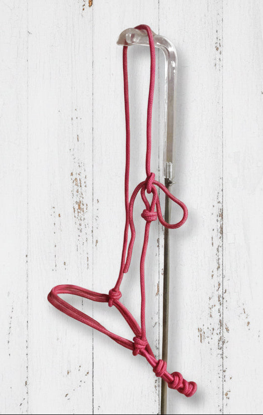Muserolle nylon rose pour cheval réglable