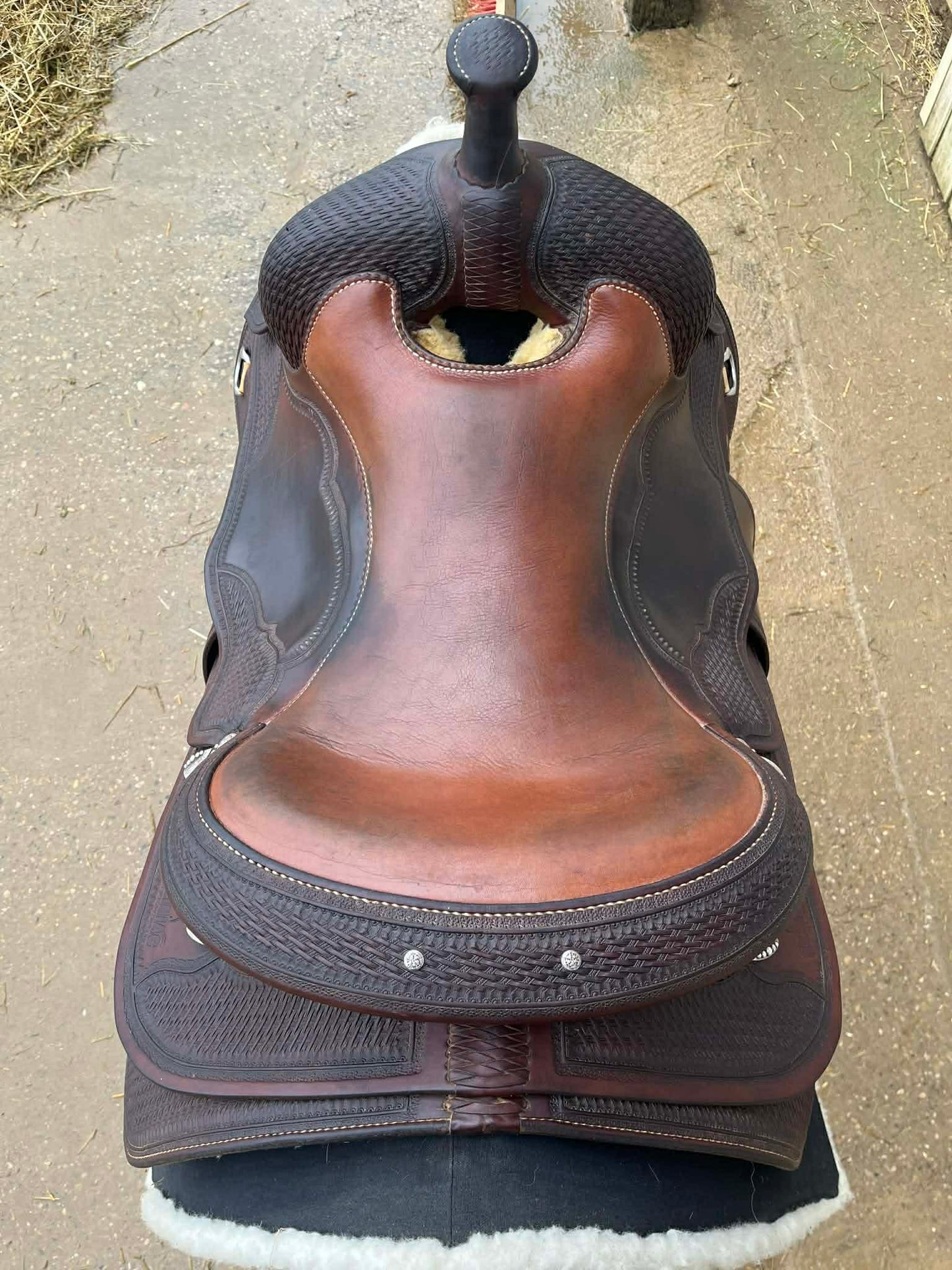 Selle de reining Tom Winter Reiniac en cuir pour performance western, vue sur le siège