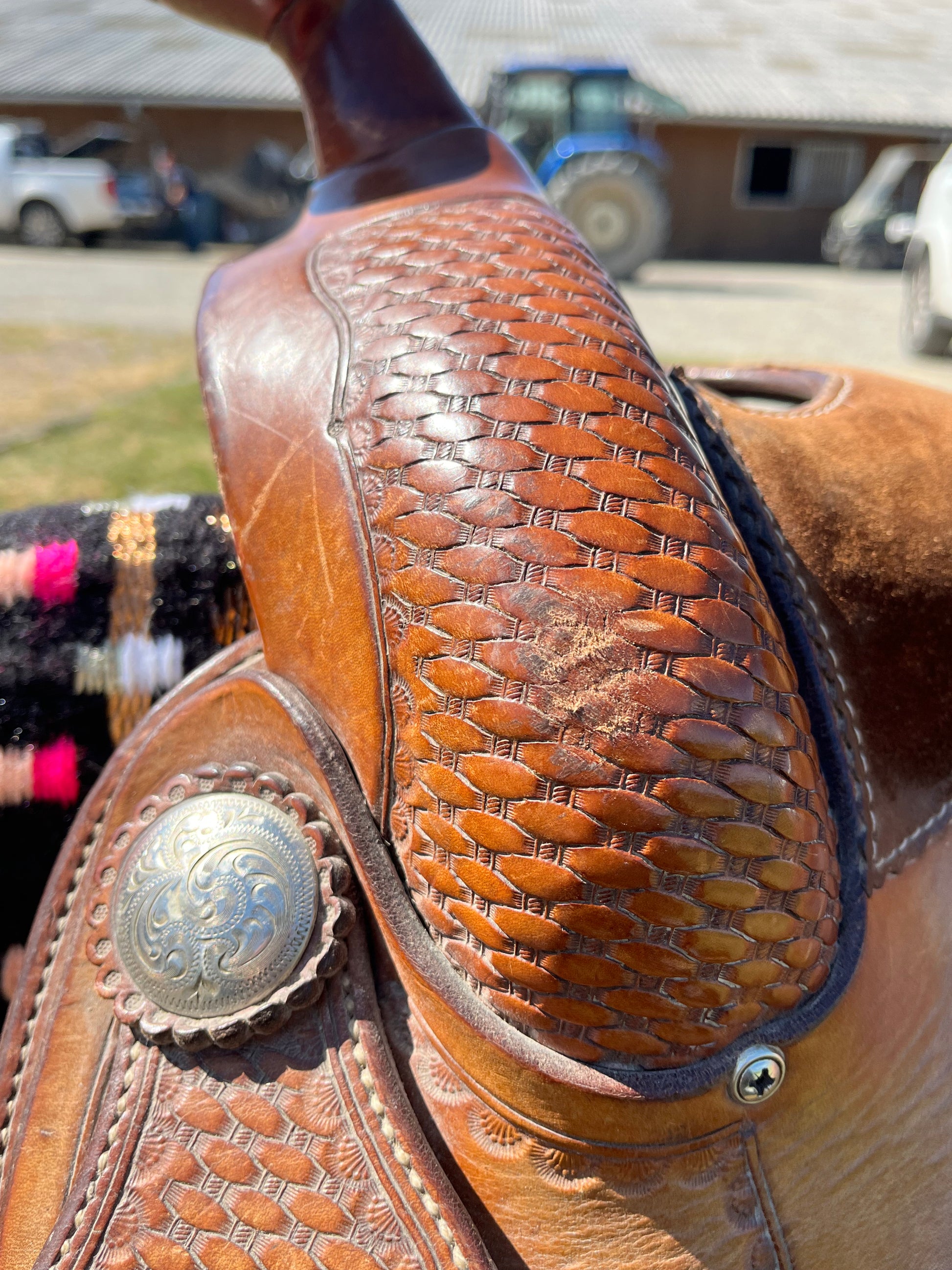 Selle western Tom Winter avec arçon 56 pour cheval
