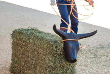 Mannequin de Roping Pro long horn – Entraînement Lasso Tout Niveau