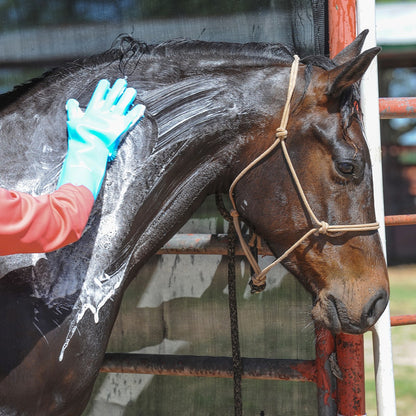 Silicone Grooming Gloves – Classic Equine 